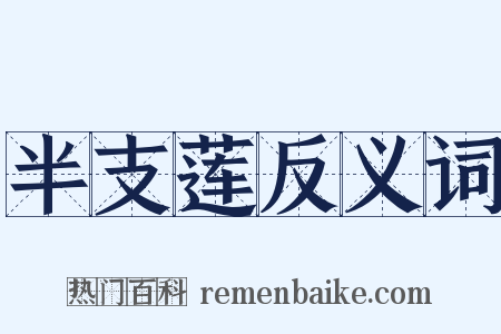 半支莲反义词是什么意思的图片